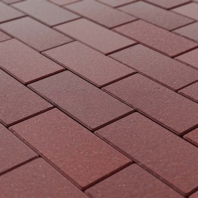 Тротуарная плитка Прямоугольник 200*100*60 Steingot Темно-красный (верхний прокрас, минифаска) 60 мм