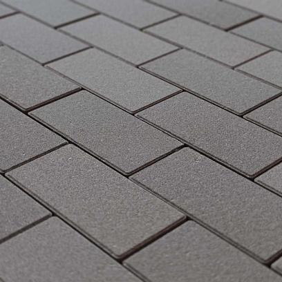 Тротуарная плитка Прямоугольник 200*100*60 Steingot Серый (полный прокрас, минифаска) 60 мм