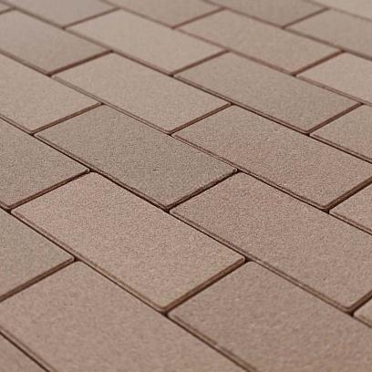 Тротуарная плитка Прямоугольник 200*100*60 Steingot Бежевый (верхний прокрас, минифаска) 60 мм