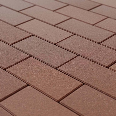 Тротуарная плитка Прямоугольник 200*100*60 Steingot Коричневый (верхний прокрас, минифаска) 60 мм